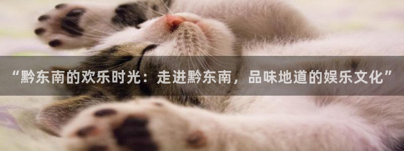 耀世娱乐官网入口